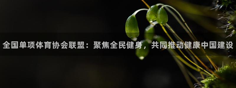全国单项体育协会联盟：聚焦全民健身，共同推动健康中国建设