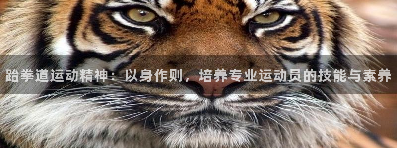 跆拳道运动精神：以身作则，培养专业运动员的技能与素养
