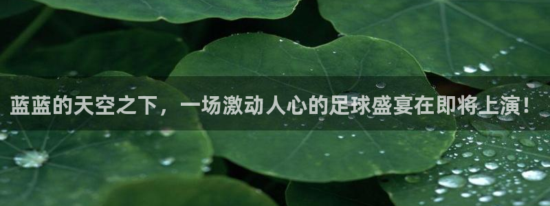 蓝蓝的天空之下，一场激动人心的足球盛宴在即将上演！