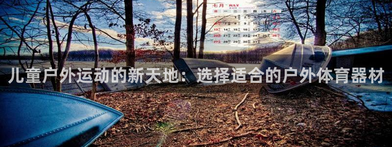 儿童户外运动的新天地：选择适合的户外体育器材