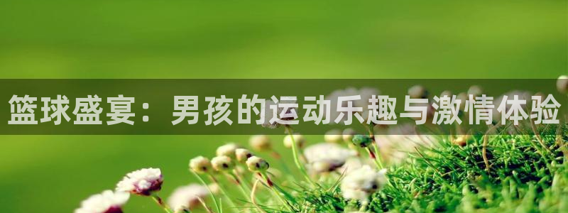 篮球盛宴：男孩的运动乐趣与激情体验