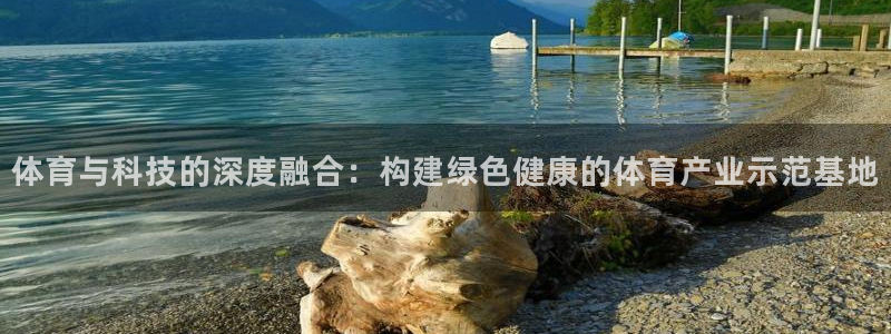 体育与科技的深度融合：构建绿色健康的体育产业示范基地