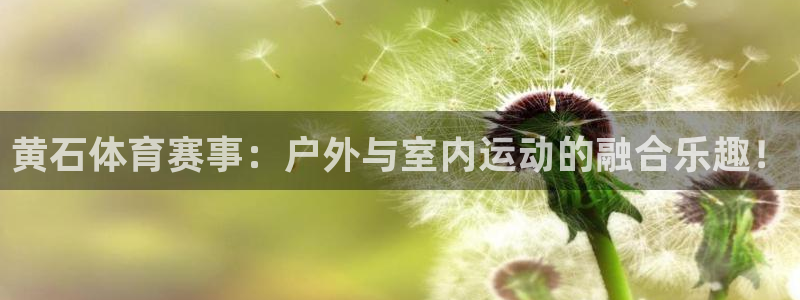 黄石体育赛事：户外与室内运动的融合乐趣！