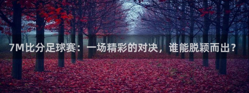乐球体育直播无插件高清在线观看：7M比分足球赛：一场精彩的对决，谁能脱颖而出？
