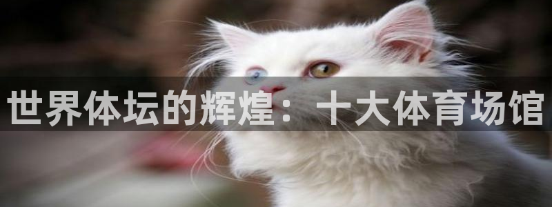 乐球直播免费体育直播回放视频：世界体坛的辉煌：十大体育场馆
