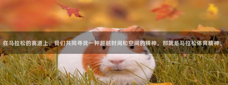 直播吧乐球直播