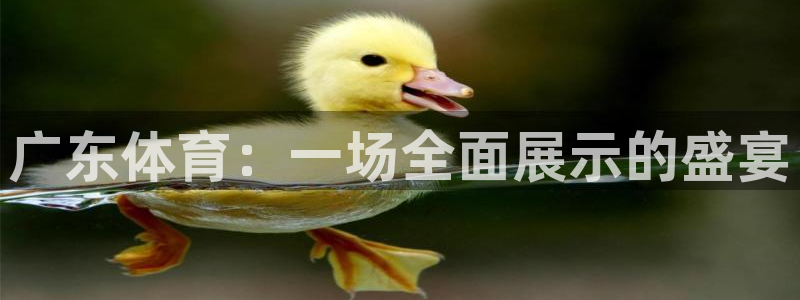 nba乐球直播：广东体育：一场全面展示的盛宴