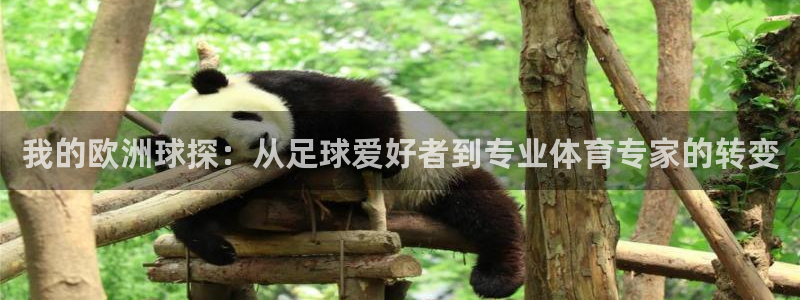 jrs乐球直播免费高清观看：我的欧洲球探：从足球爱好者到专业体育专家的转变