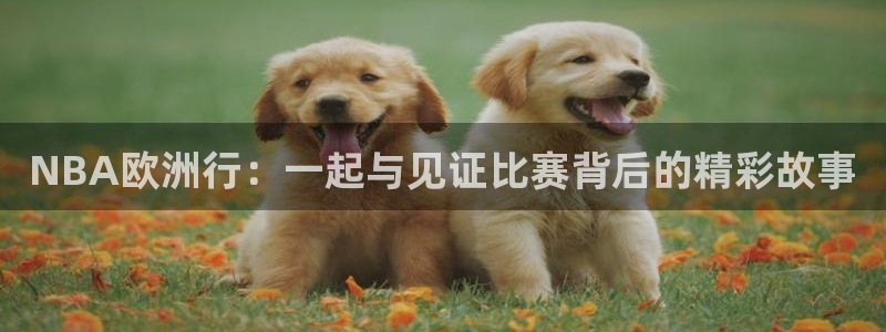 乐球吧直播 在线看球：NBA欧洲行：一起与见证比赛背后的精彩故事
