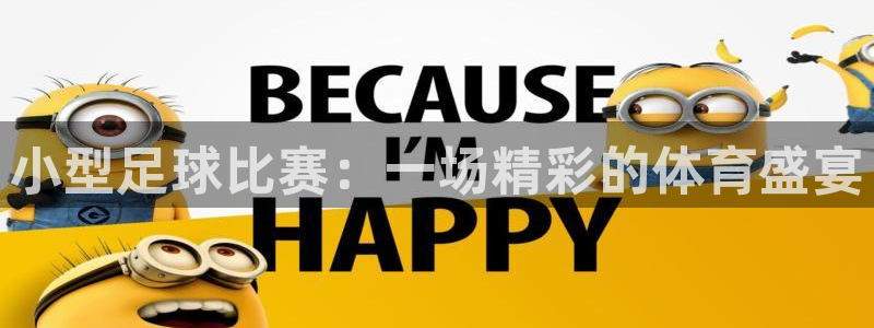 乐球nba在线直播：小型足球比赛：一场精彩的体育盛宴