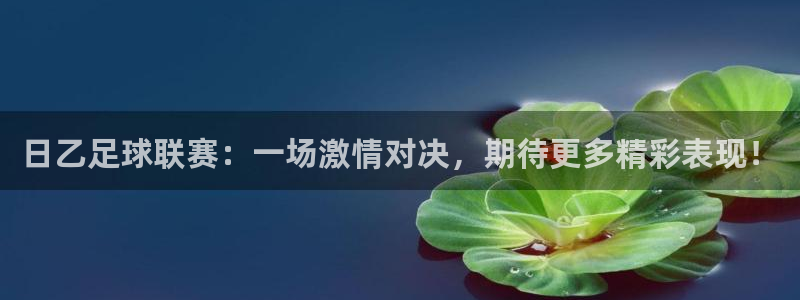 nba在线直播乐球：日乙足球联赛：一场激情对决，期待更多精彩表现！