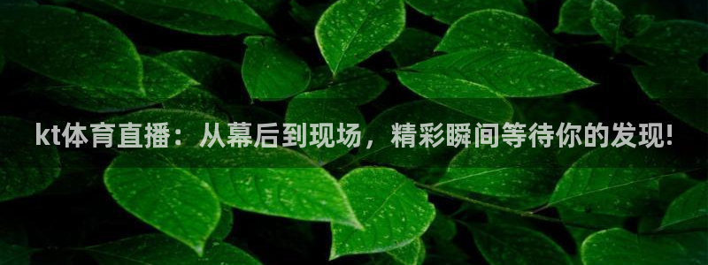 乐球直播app官方下载：kt体育直播：从幕后到现场，精彩瞬间等待你的发现!