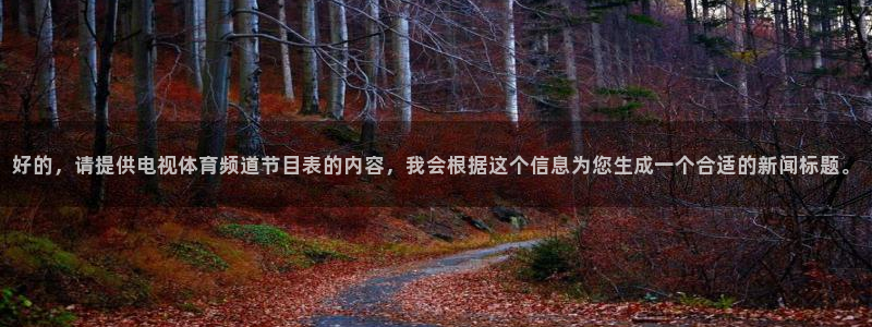 乐球直播免费足球直播在线观看：好的，请提供电视体育频道节目表的内容，我会根据这个信息为您生成一个合适的新闻标题。