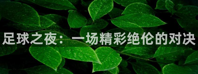 乐球直播全球赛事：足球之夜：一场精彩绝伦的对决