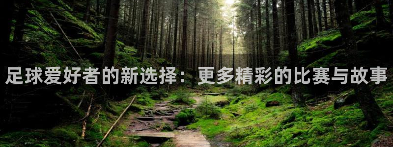 乐球体育直播入口：足球爱好者的新选择：更多精彩的比赛与故事