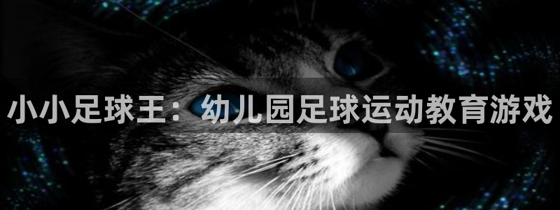 乐球吧体育：小小足球王：幼儿园足球运动教育游戏